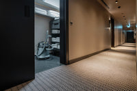 Nam va quruq changyutgich NT 27/1