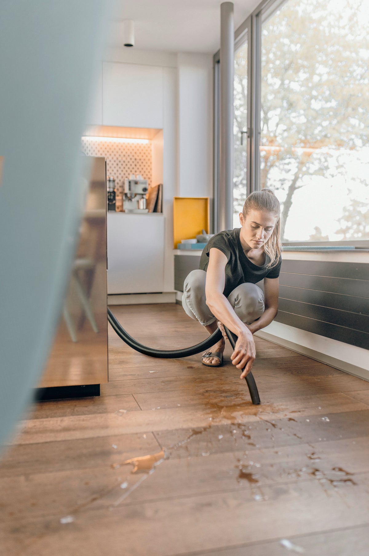 Хозяйственный пылесос WD 3 V-19/6/20