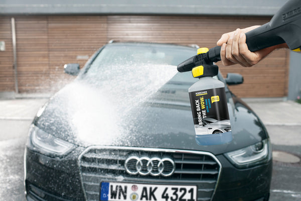 Насадка для пенной чистки Connect ’n’ Clean FJ 10 C + Ultra Foam Cleaner