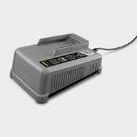 Быстрая зарядка аккумулятора Battery Power+ 36/60